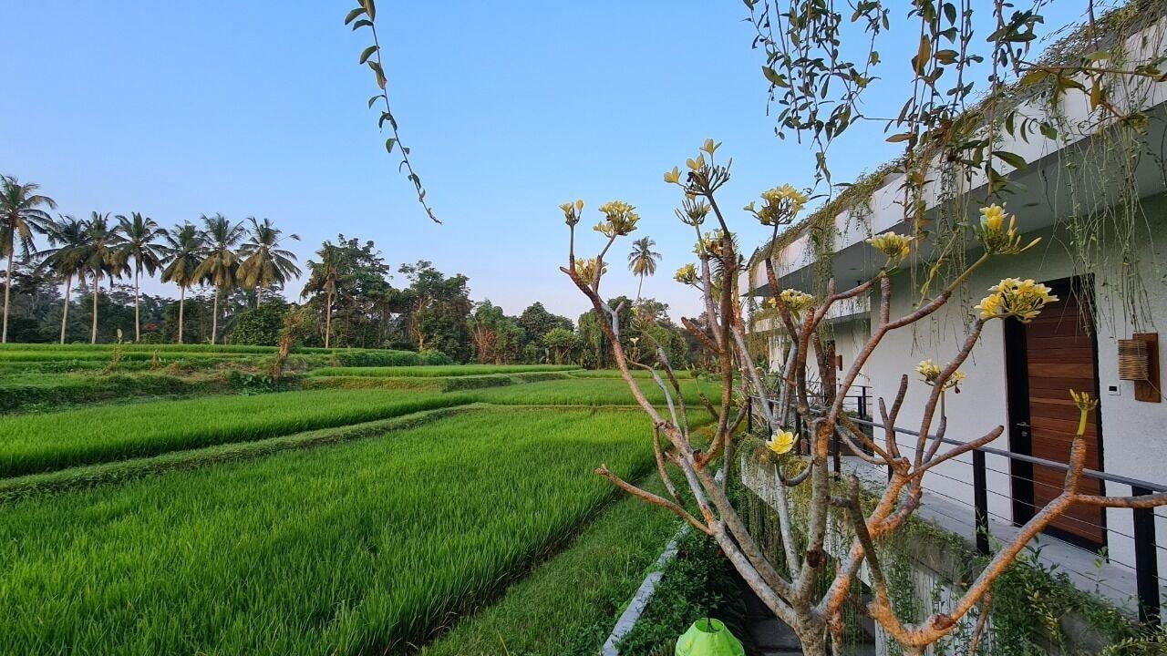 Ayurvedagram Bali Otel Ubud Dış mekan fotoğraf