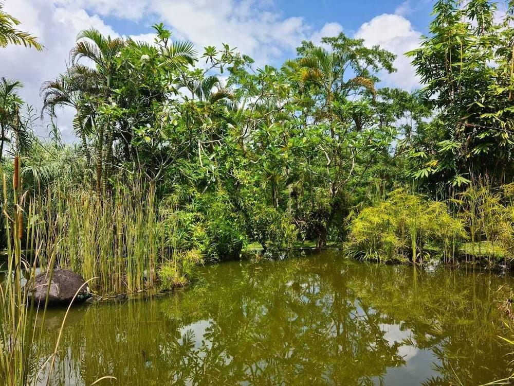 Ayurvedagram Bali Otel Ubud Dış mekan fotoğraf